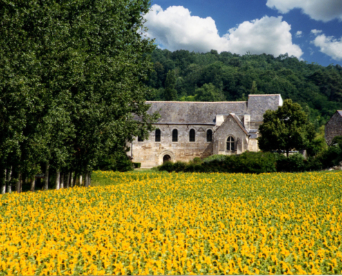 V.E avec tournesols 2 - copie